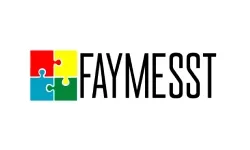 Logo Faymesst